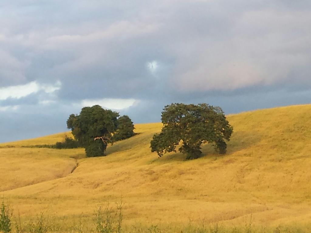 Agriturismo San Pierino Monteroni dʼArbia المظهر الخارجي الصورة
